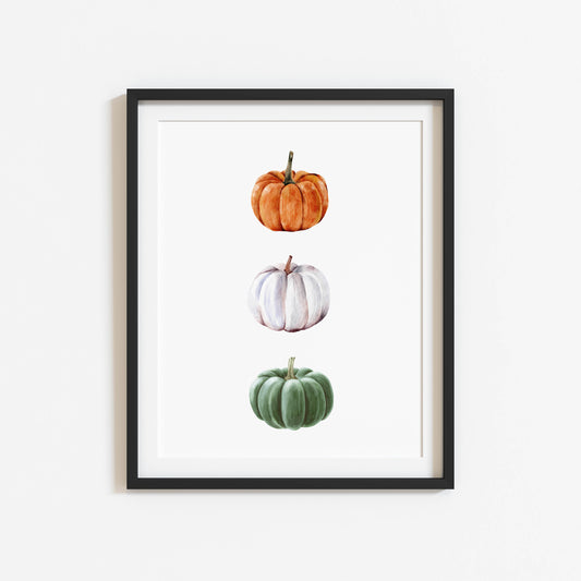 Trio of pumpkins, orange white and green seasonal illustration unframed wall art poster print