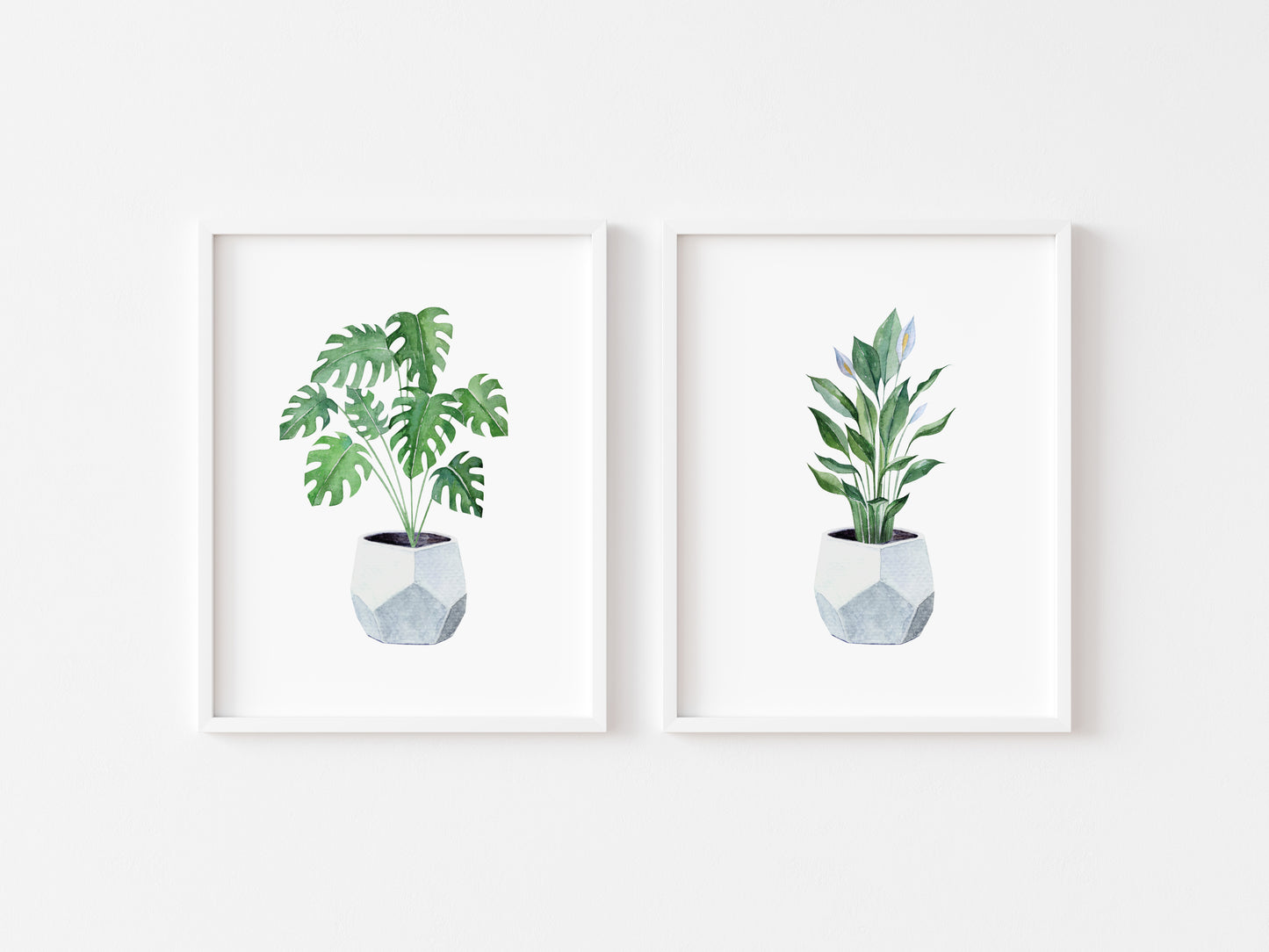 Set of 2 plant prints, watercolour plants in blue pots illustrations unframed wall art poster prints