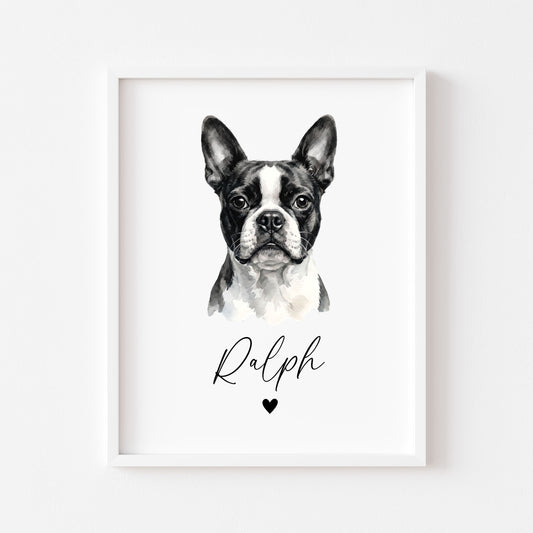Personalised Boston Terrier Dog Print Custom Name Pet portrait watercolour unframed wall art