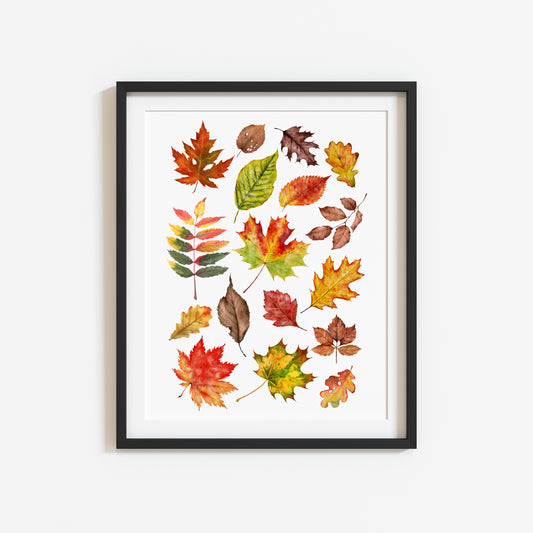 Autumn Fall leaves orange red green yellow brown watercolour foliage unframed wall art poster print