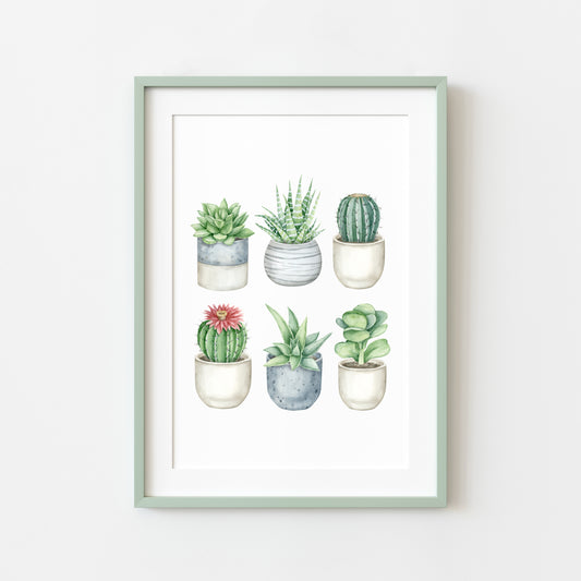 Plant illustration, cactus cacti succulents watercolour 6 illustrations unframed wall art poster print