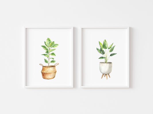 Set of 2 plant prints, watercolour plant illustrations unframed wall art poster prints