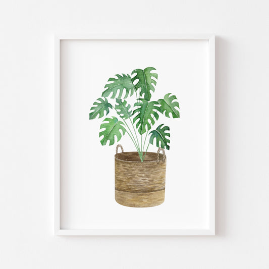 Botanical plant print watercolour cheese plant basket illustration unframed wall art poster print