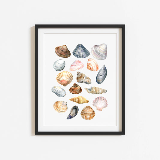 Summer print, Sea shells coastal summer watercolour seasonal home bedroom unframed wall art poster print summer accessories shell art prints