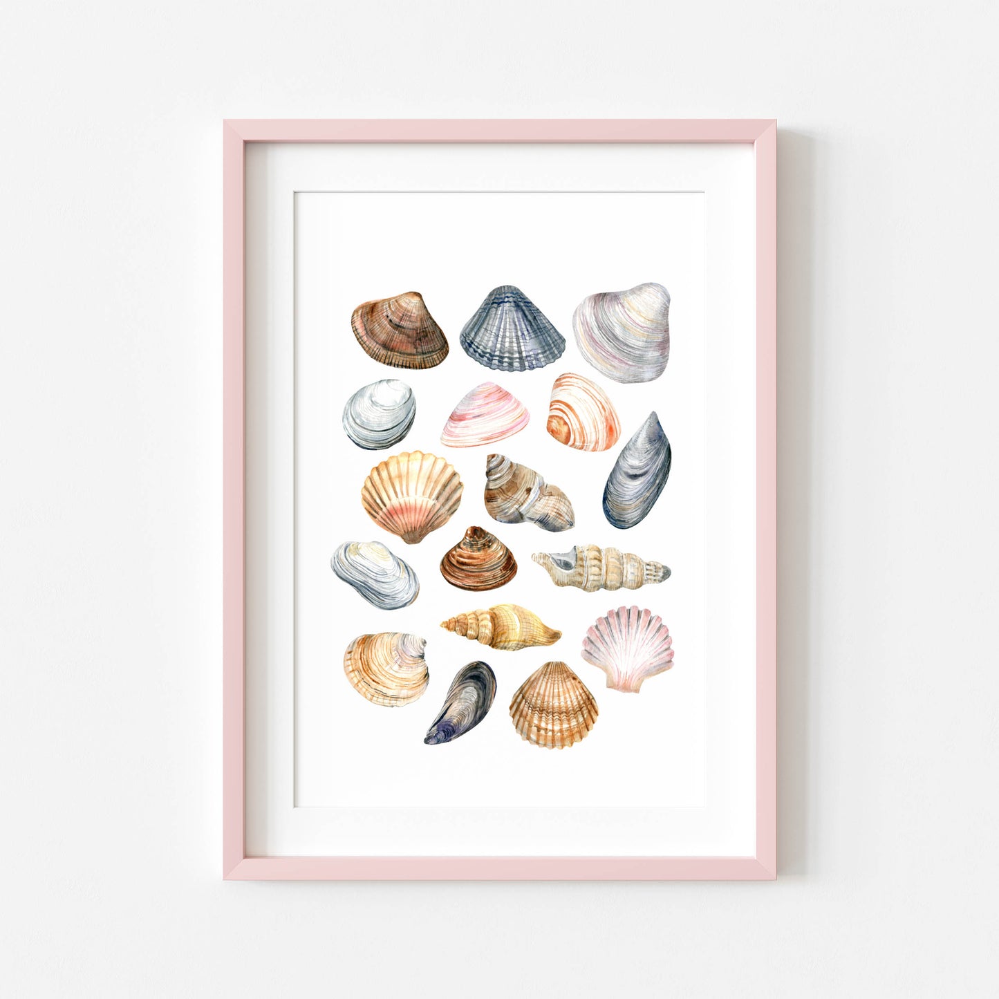 Summer print, Sea shells coastal summer watercolour seasonal home bedroom unframed wall art poster print summer accessories shell art prints