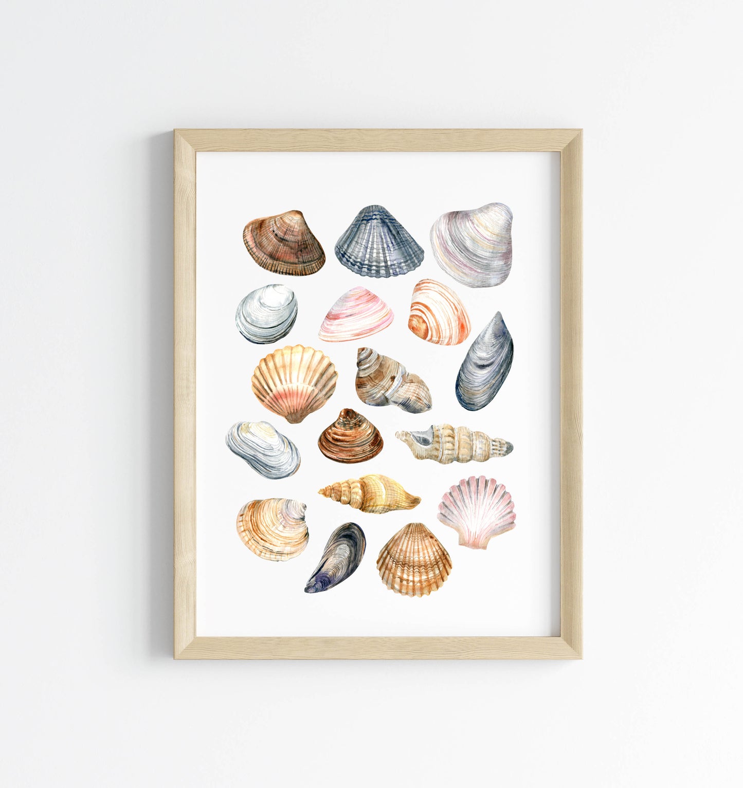 Summer print, Sea shells coastal summer watercolour seasonal home bedroom unframed wall art poster print summer accessories shell art prints