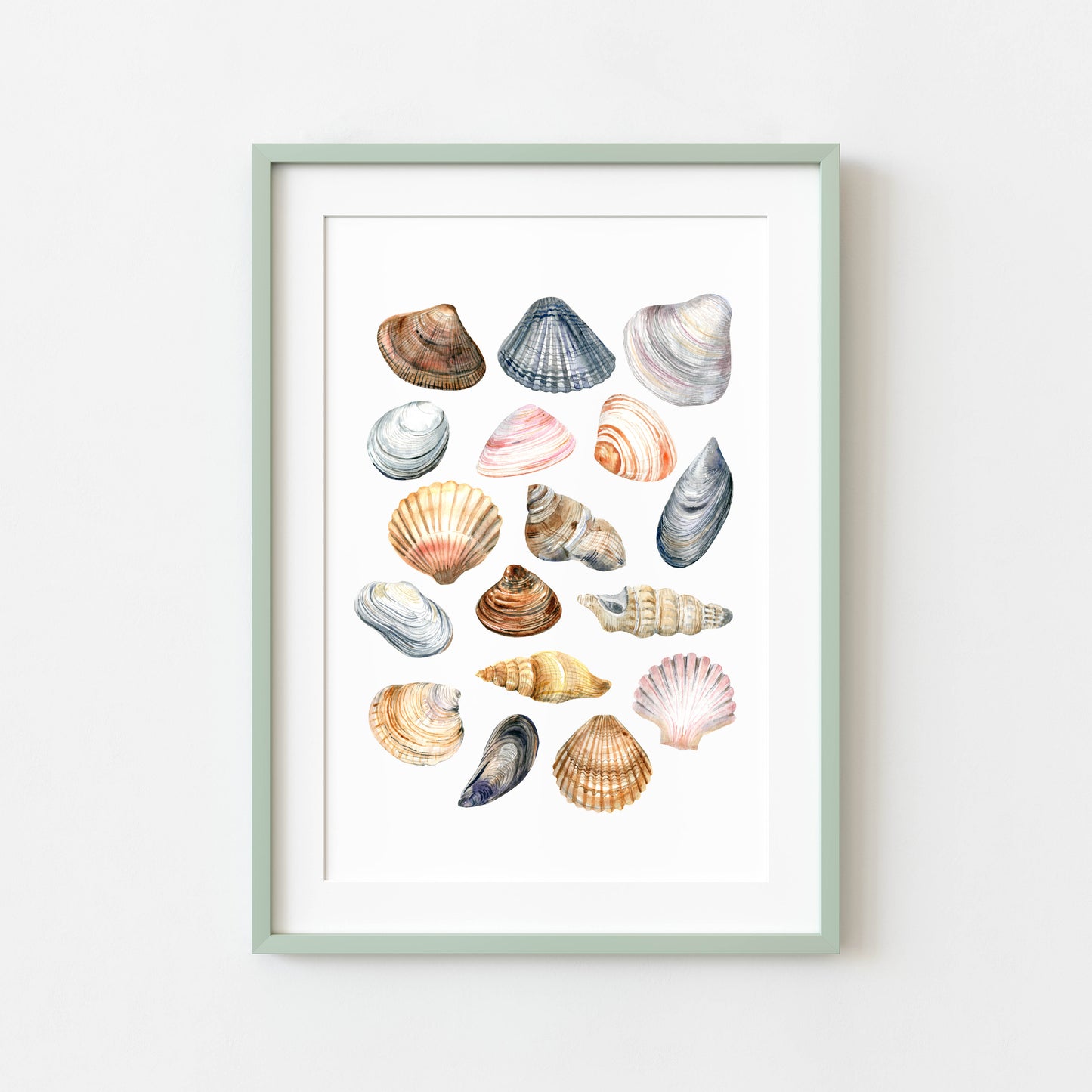 Summer print, Sea shells coastal summer watercolour seasonal home bedroom unframed wall art poster print summer accessories shell art prints
