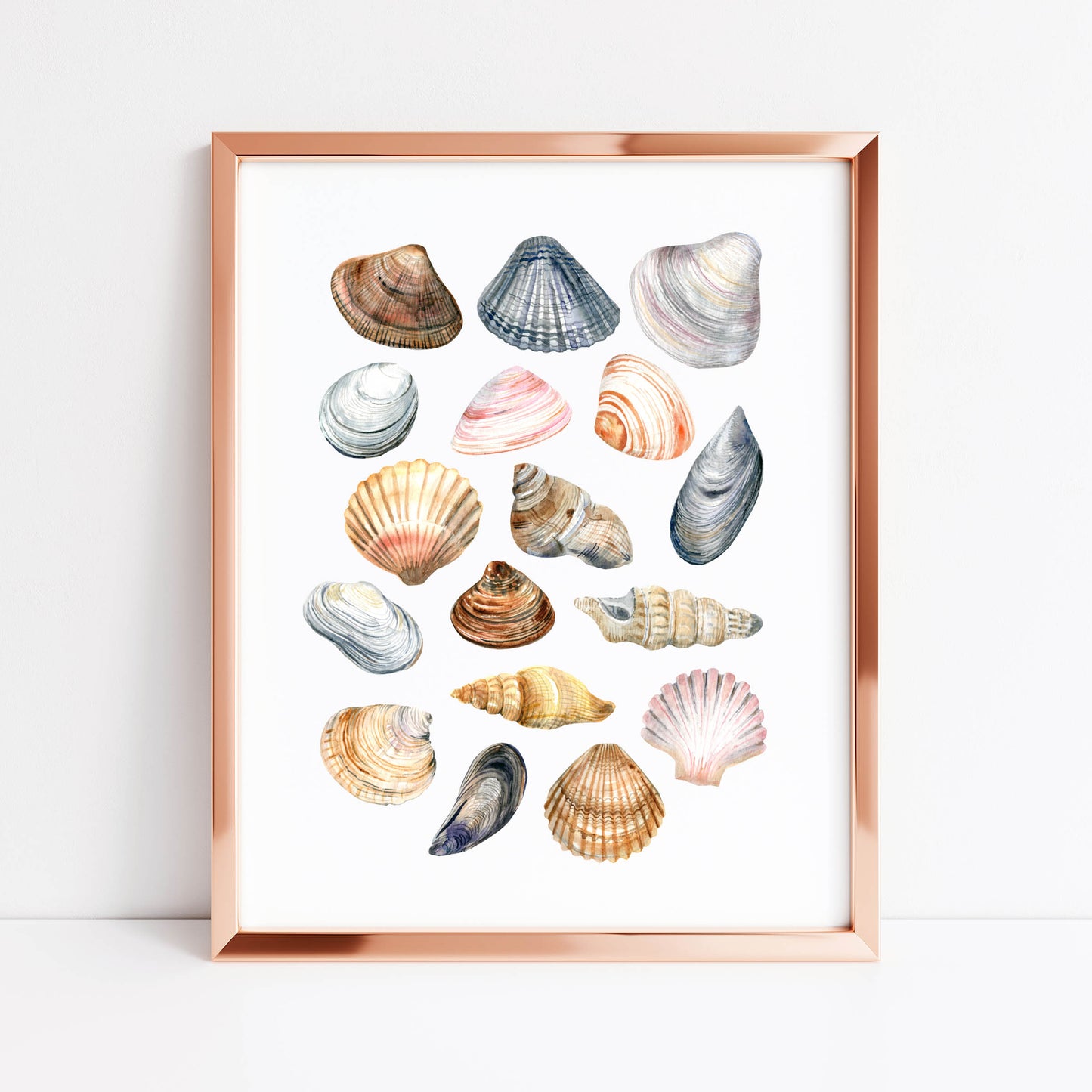 Summer print, Sea shells coastal summer watercolour seasonal home bedroom unframed wall art poster print summer accessories shell art prints