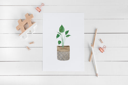 Botanical plant print watercolour illustration unframed wall art poster print