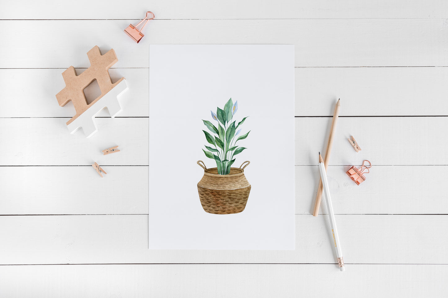 Botanical plant print watercolour plant belly basket illustration unframed wall art poster print