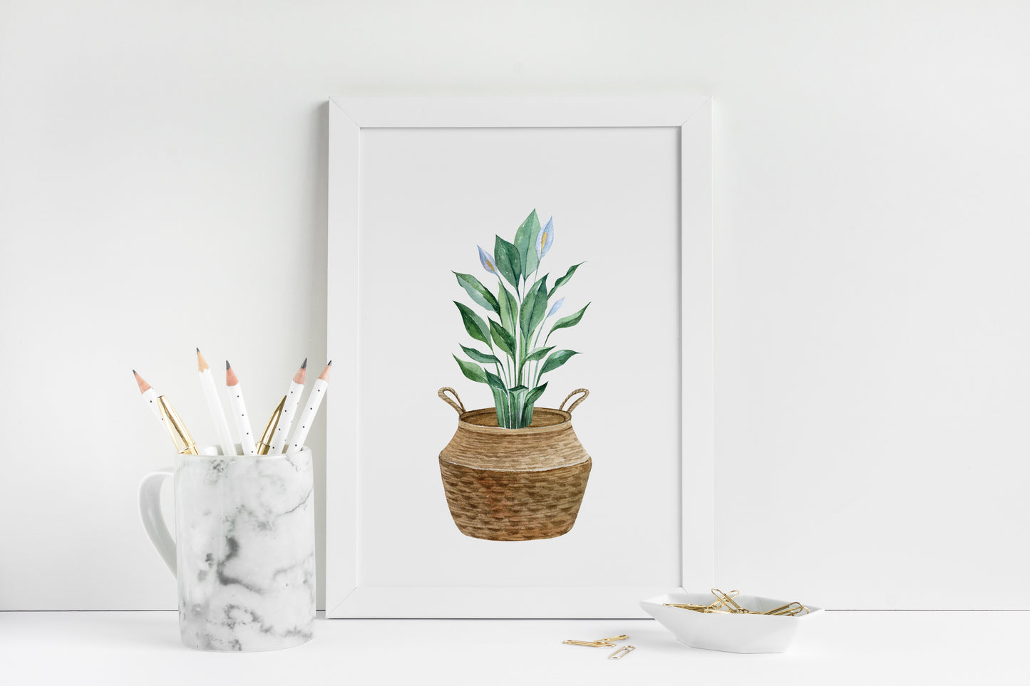 Botanical plant print watercolour plant belly basket illustration unframed wall art poster print