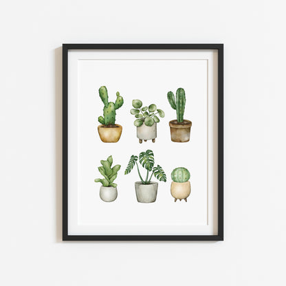 Plant illustrations, set of cactus succulents watercolour drawing unframed wall art poster print