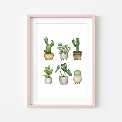 Plant illustrations, set of cactus succulents watercolour drawing unframed wall art poster print