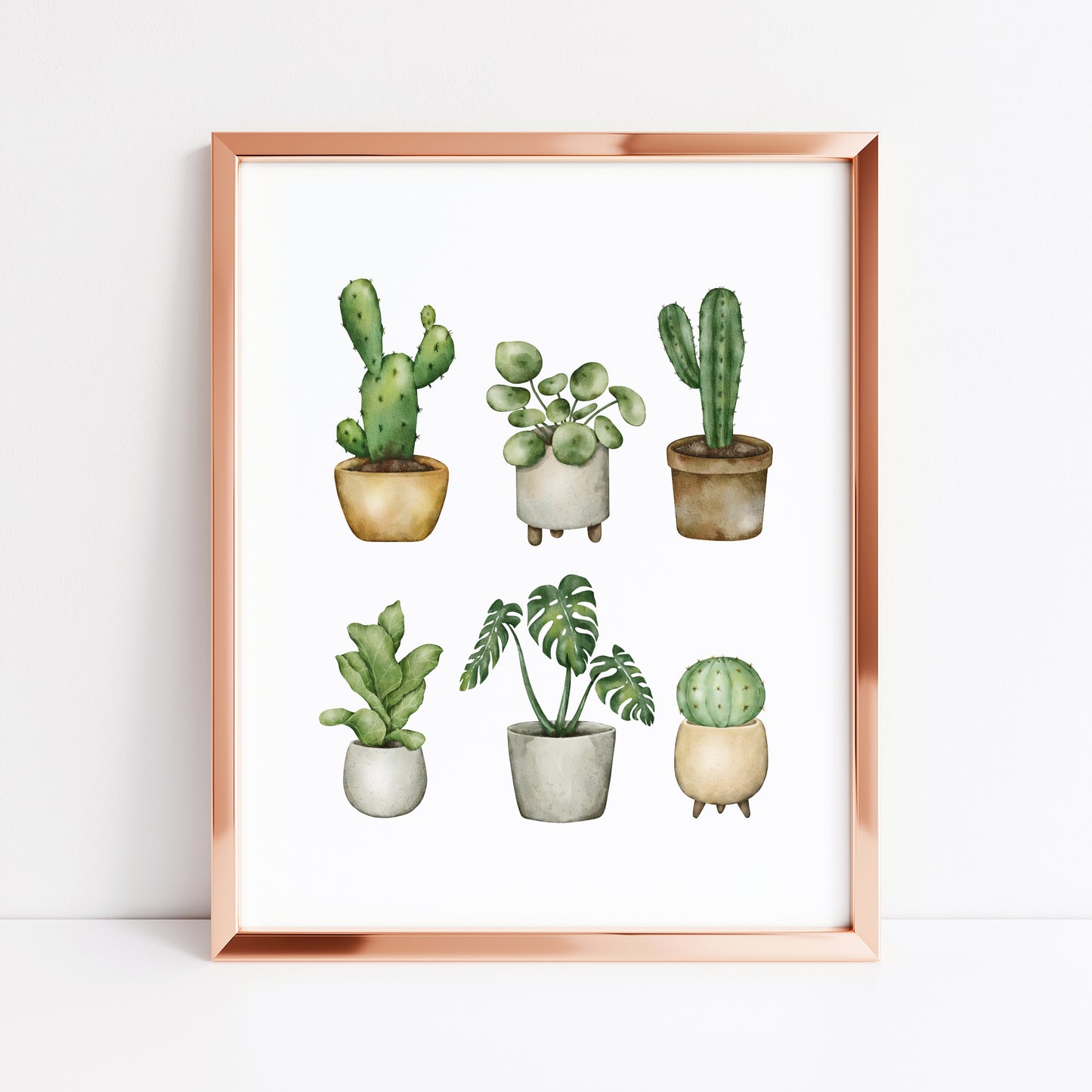 Plant illustrations, set of cactus succulents watercolour drawing unframed wall art poster print