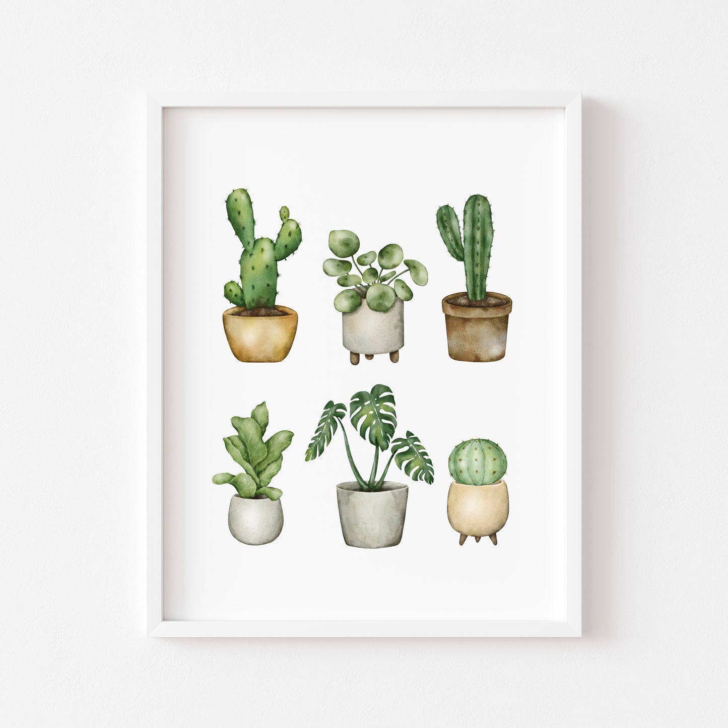 Plant illustrations, set of cactus succulents watercolour drawing unframed wall art poster print