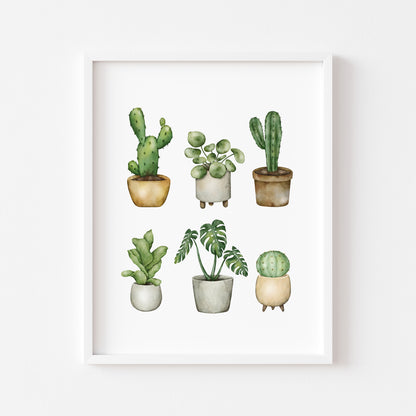 Plant illustrations, set of cactus succulents watercolour drawing unframed wall art poster print