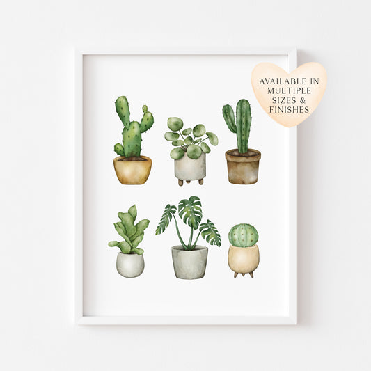 Plant illustrations, set of cactus succulents watercolour drawing unframed wall art poster print