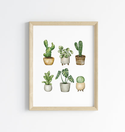 Plant illustrations, set of cactus succulents watercolour drawing unframed wall art poster print