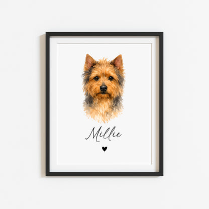 Personalised Australian Terrier Dog Print Custom Name Pet portrait watercolour unframed wall art