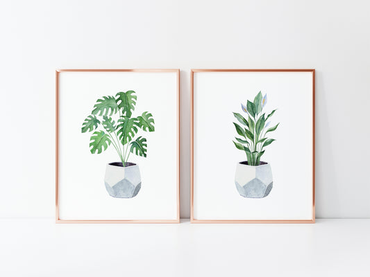 Set of 2 plant prints, watercolour plants in blue pots illustrations unframed wall art poster prints