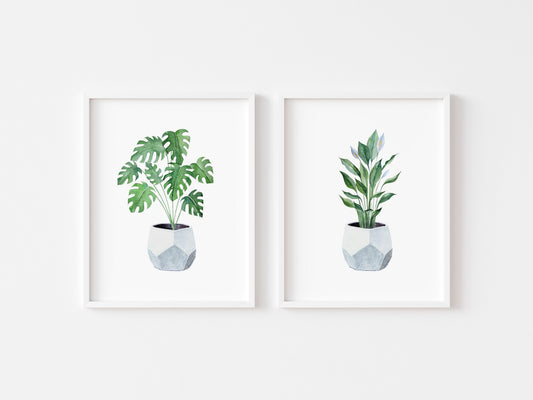 Set of 2 plant prints, watercolour plants in blue pots illustrations unframed wall art poster prints