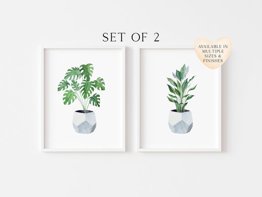 Set of 2 plant prints, watercolour plants in blue pots illustrations unframed wall art poster prints