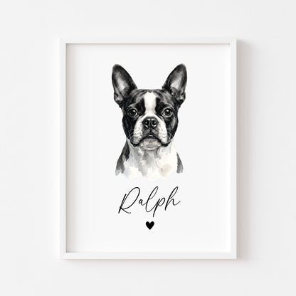 Personalised Boston Terrier Dog Print Custom Name Pet portrait watercolour unframed wall art