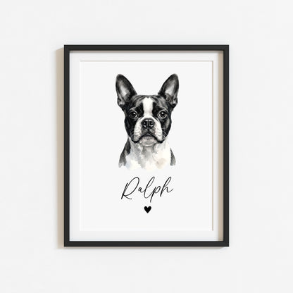 Personalised Boston Terrier Dog Print Custom Name Pet portrait watercolour unframed wall art