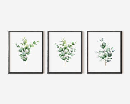 Set of 3 eucalyptus plant bouquet individual greenery home, bedroom, bathroom relaxing unframed wall art poster prints