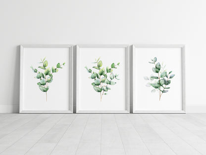 Set of 3 eucalyptus plant bouquet individual greenery home, bedroom, bathroom relaxing unframed wall art poster prints