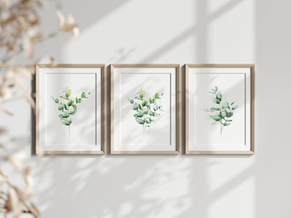 Set of 3 eucalyptus plant bouquet individual greenery home, bedroom, bathroom relaxing unframed wall art poster prints