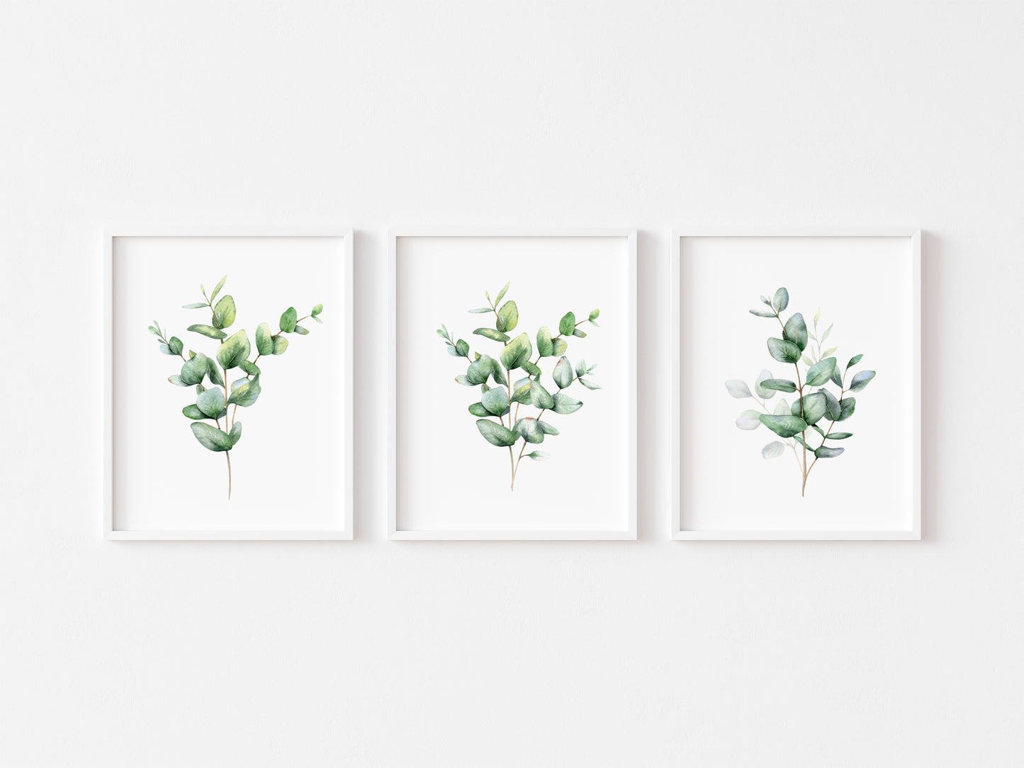 Set of 3 eucalyptus plant bouquet individual greenery home, bedroom, bathroom relaxing unframed wall art poster prints