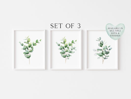 Set of 3 eucalyptus plant bouquet individual greenery home, bedroom, bathroom relaxing unframed wall art poster prints