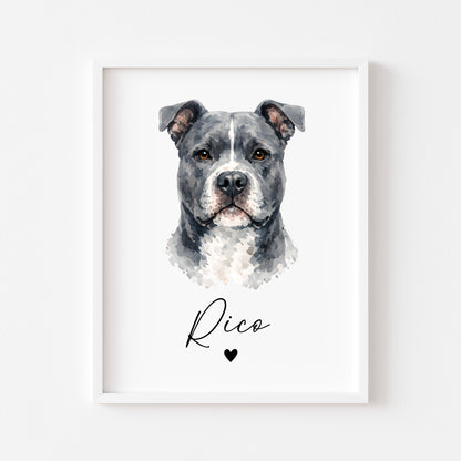 Personalised AmStaff Dog Print Custom Name Pet portrait watercolour unframed wall art poster