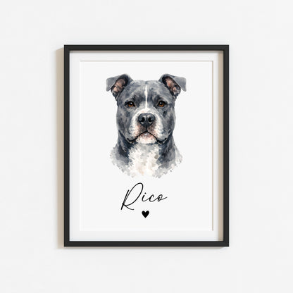 Personalised AmStaff Dog Print Custom Name Pet portrait watercolour unframed wall art poster