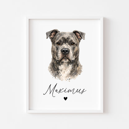 Personalised Pit bull Dog Print Custom Name Pet portrait watercolour unframed wall art poster
