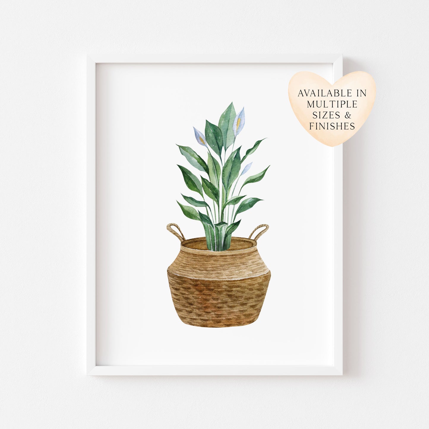 Botanical plant print watercolour plant belly basket illustration unframed wall art poster print