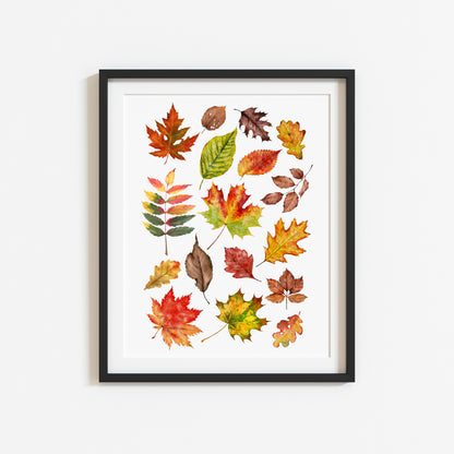 Autumn Fall leaves orange red green yellow brown watercolour foliage unframed wall art poster print