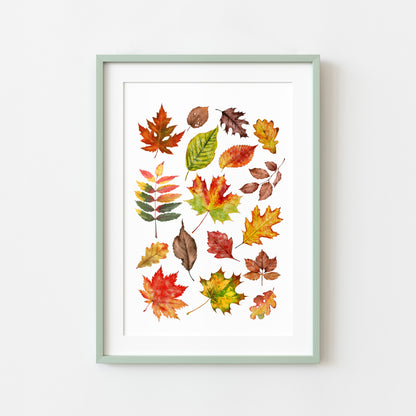 Autumn Fall leaves orange red green yellow brown watercolour foliage unframed wall art poster print