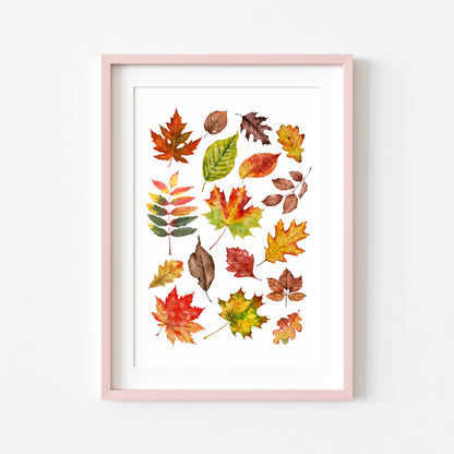 Autumn Fall leaves orange red green yellow brown watercolour foliage unframed wall art poster print