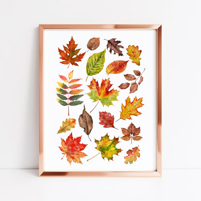 Autumn Fall leaves orange red green yellow brown watercolour foliage unframed wall art poster print