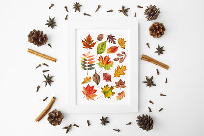 Autumn Fall leaves orange red green yellow brown watercolour foliage unframed wall art poster print