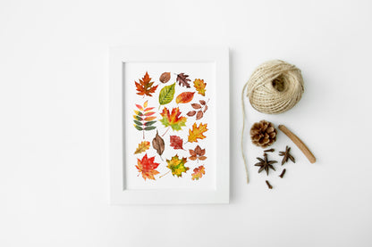 Autumn Fall leaves orange red green yellow brown watercolour foliage unframed wall art poster print