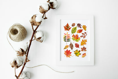 Autumn Fall leaves orange red green yellow brown watercolour foliage unframed wall art poster print