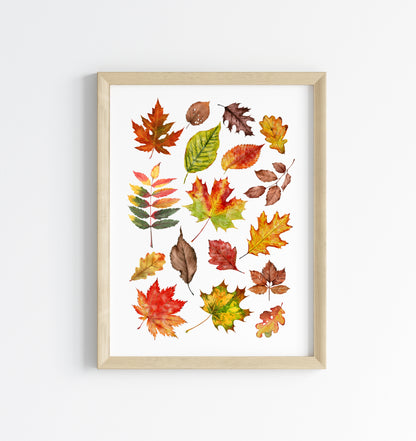 Autumn Fall leaves orange red green yellow brown watercolour foliage unframed wall art poster print