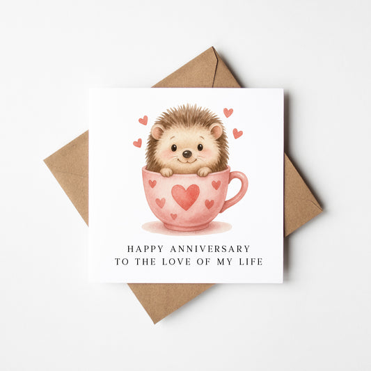 Anniversary card Hedgehog animal couples red pink love hearts & mug with card envelope