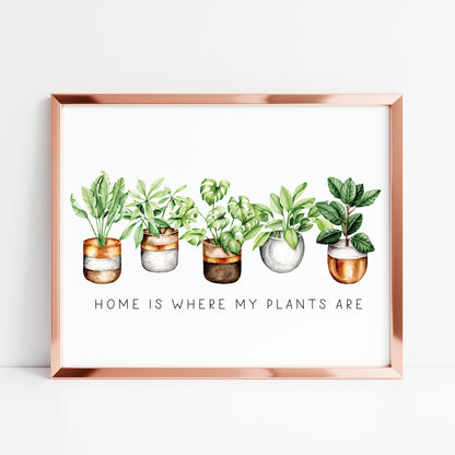 Plant print, Home is where my plants are succulents home Decor (unframed)