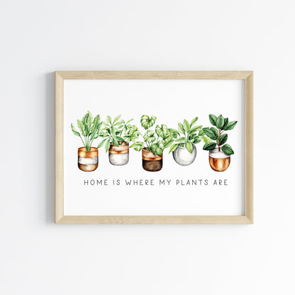 Plant print, Home is where my plants are succulents home Decor (unframed)