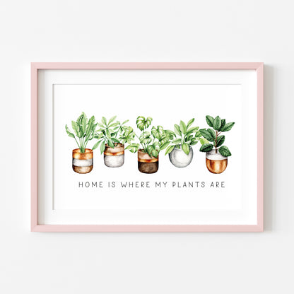 Plant print, Home is where my plants are succulents home Decor (unframed)