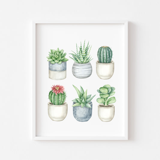 Plant illustration, cactus cacti succulents watercolour 6 illustrations unframed wall art poster print